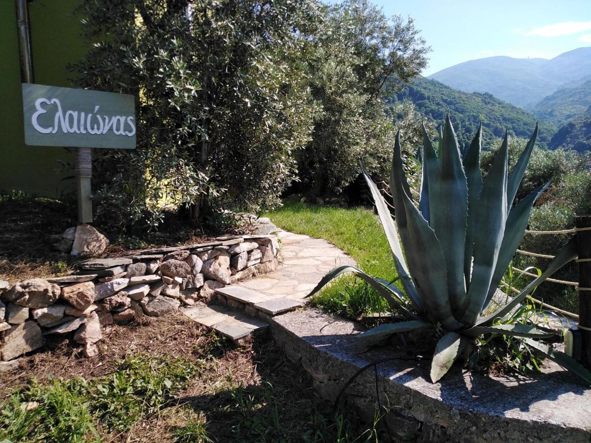 Ελαιώνας - Solar Energy House Villa Chorefton Exteriör bild