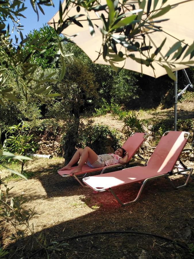 Ελαιώνας - Solar Energy House Villa Chorefton Exteriör bild